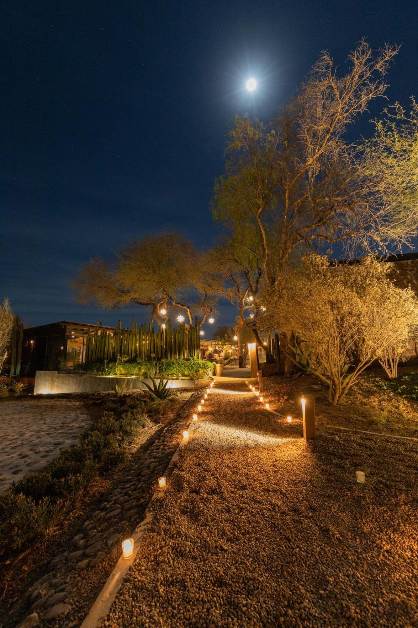 Our Habitas San Miguel De Allende Бандита Экстерьер фото